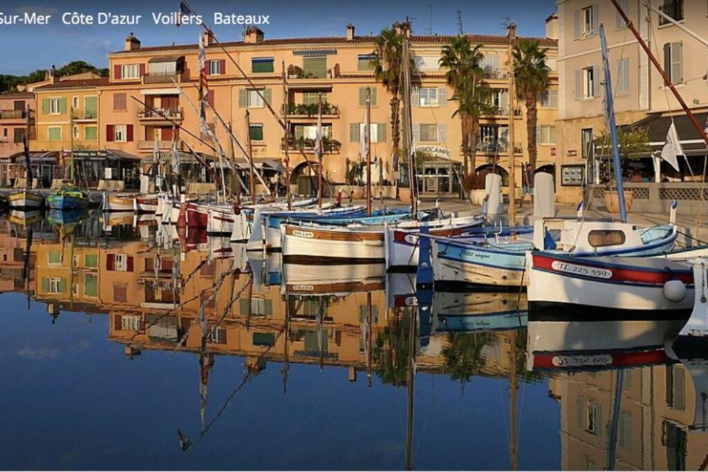 Tres Bel Appartement, Port Sanary, Apartment *